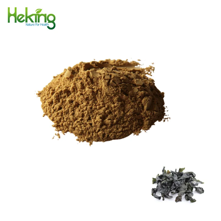 China manufacturer polysaccharide seaweed extract ascophyllum seaweed extract