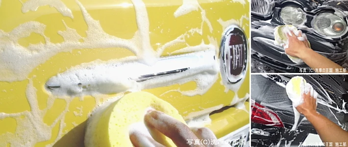 car. sponge64