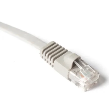 paste-pic-dp_uuid_616ov