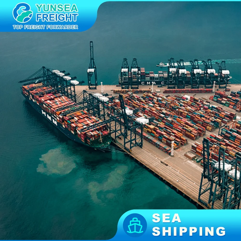Cheapest Rates Logistics Agent Fba DDP Sea Freight Forwarder From China