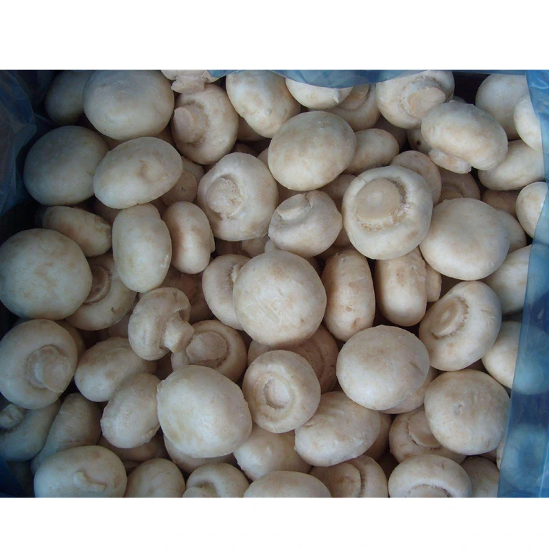 Дешевая цена белый Сертифицированный HACCP замороженный чемпион IQF гриб