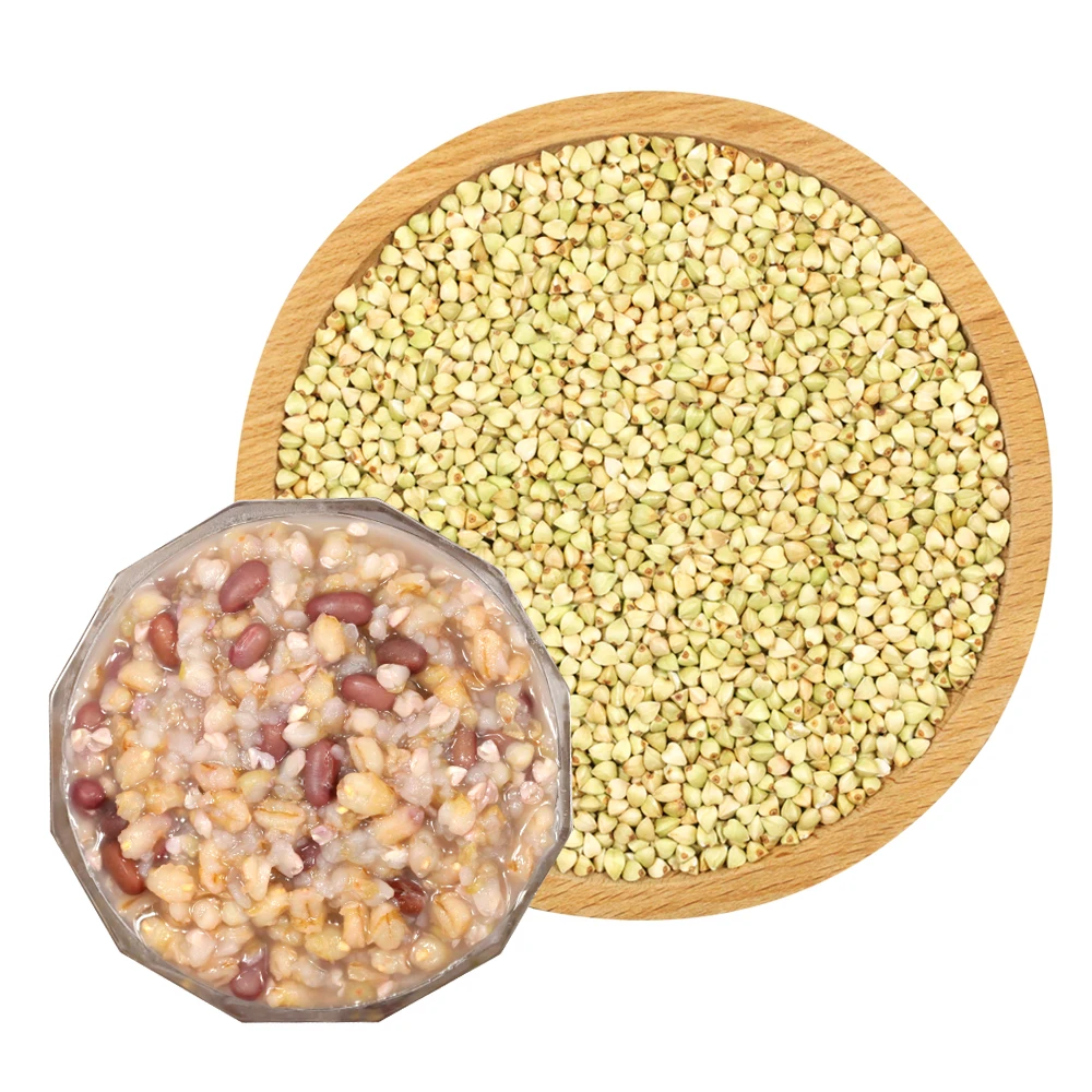 GBK 2021 Crop Wholesale High Quality Roasted Buckwheat Kernel