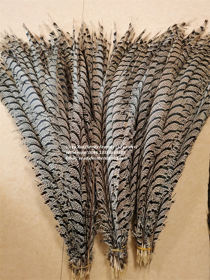 Pheasant Lady (3).jpg