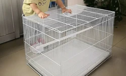 Большая железная проволока 60*40*40 на заказ, оптовая продажа, клетка для птиц, размноженных голубей