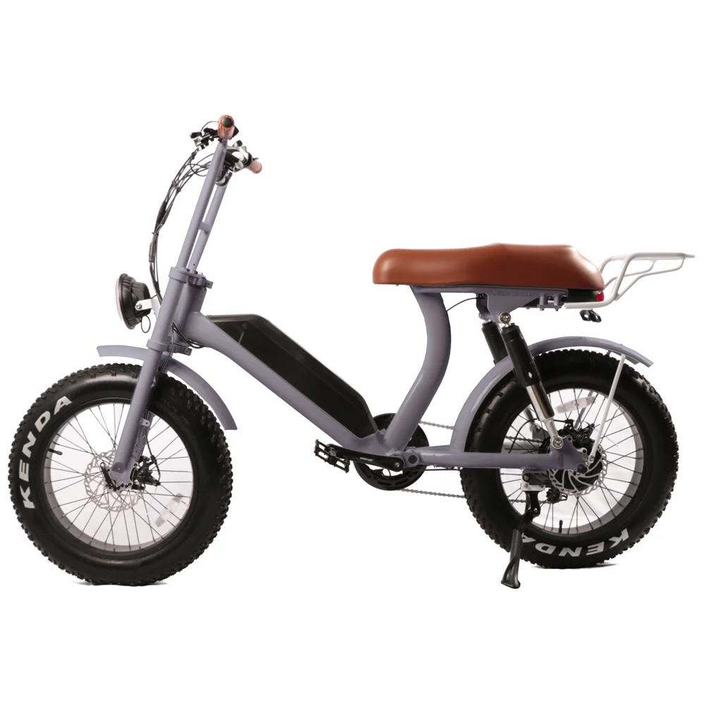 20'Fat tire ebike eec electric moped powerful adult electric scooters retro electric bike for city commuting