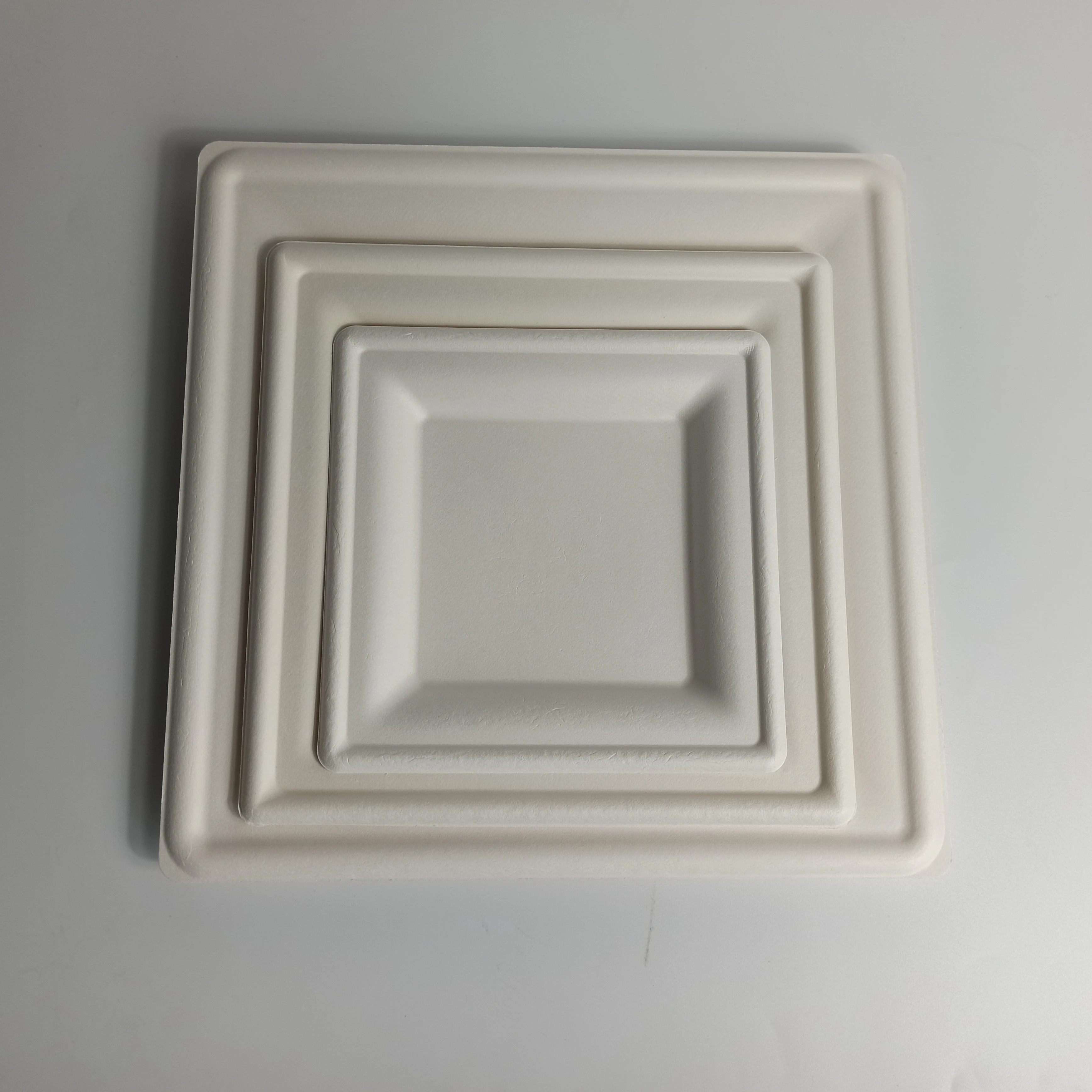 Compostable Biodegradable Sugarcane Dinnerware Bagasse Paper Pulp 10inch Square Plate