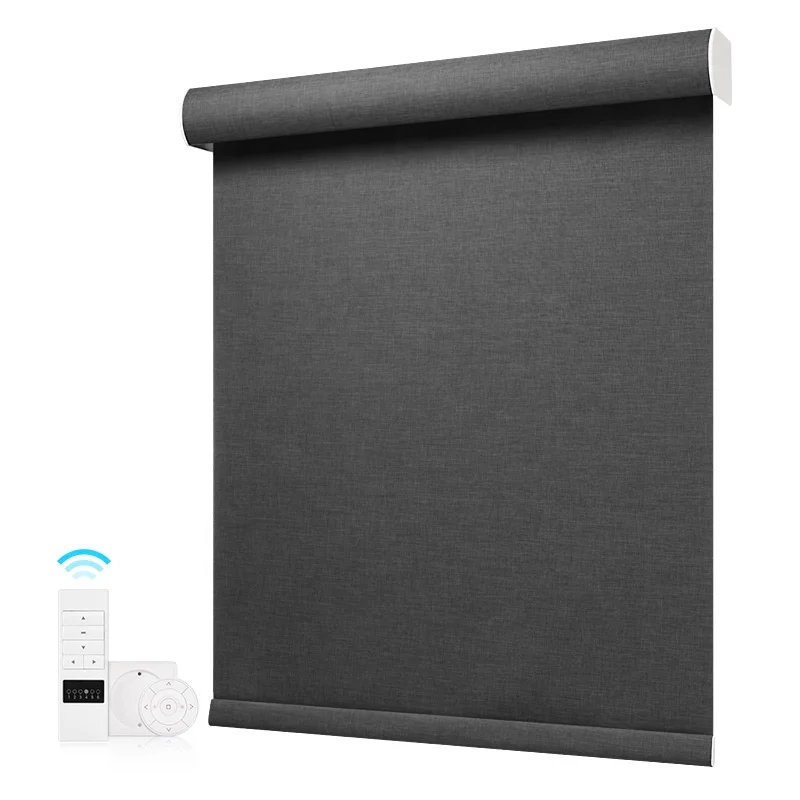 Motorized Remote Window Roller Blinds Shades Cordless Home Smart Wifi Automatic Electric Roller Blinds
