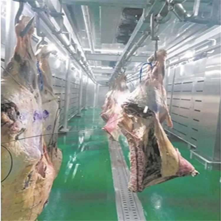 Frozen Meat Thawing and Defrosting Equipment for Meat Processing Plant