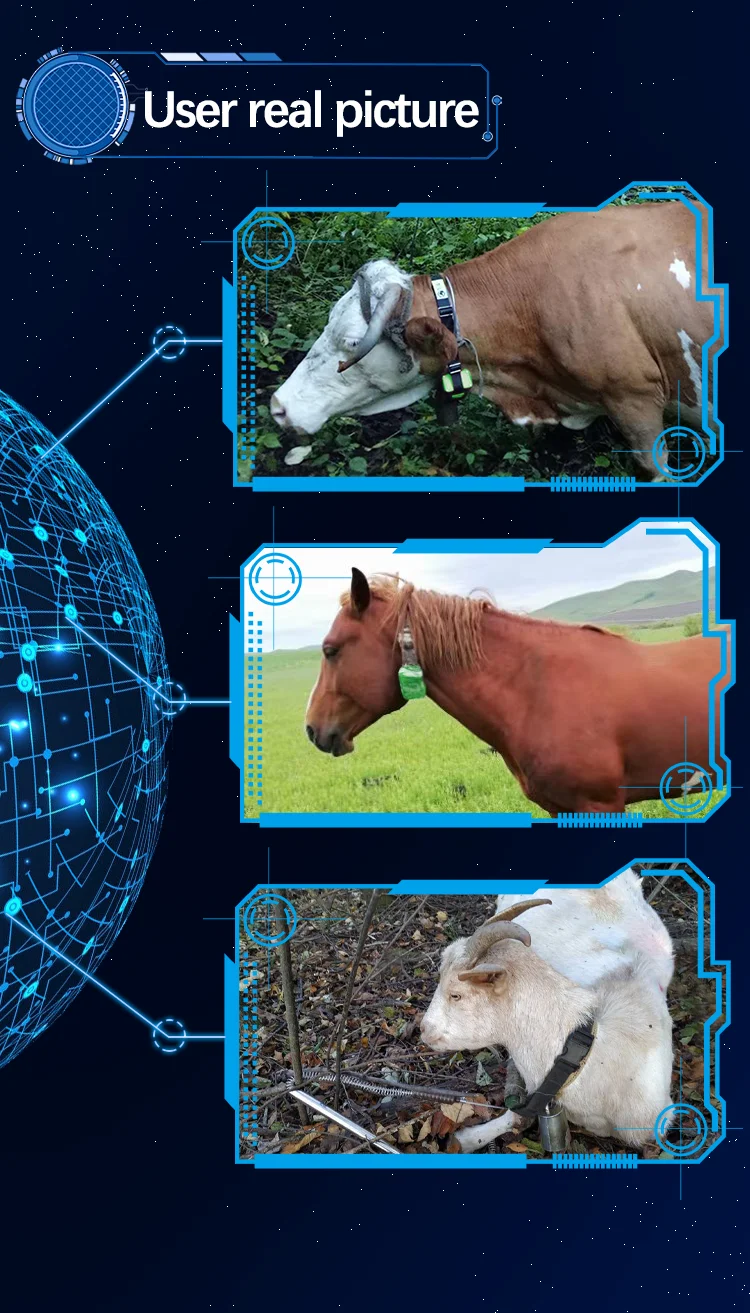 AHGUEP Brand Cow GPS Tracker Waterproof Smart Farm Locator 10000mah Long Standby Animal Cattle Tracking Device
