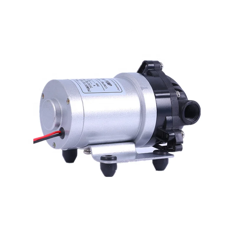 Whaleflo DP-60A BLDC 12v brushless motor 5L/min road sweeper spray pump beauty equipment self-priming booster pump