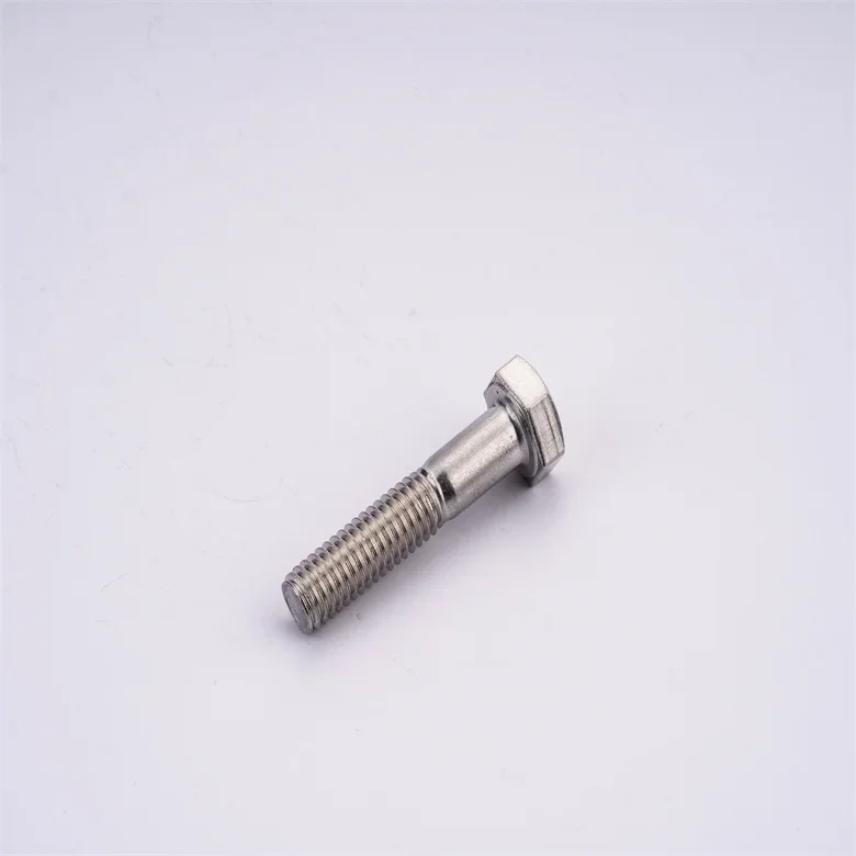 High quality bolt Stainless Steel 304/316 T Bolt T head bolt