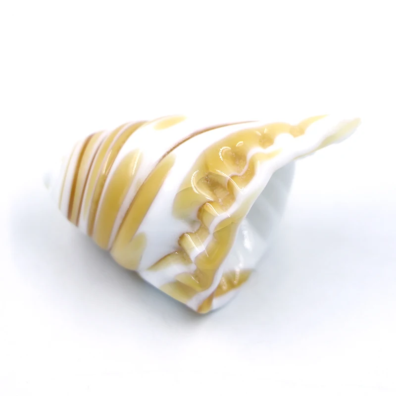 Borosilicate Sea Snail Glass Animal Figurine Hermit Crab Craft Assorted Hand Blown Manufacturers