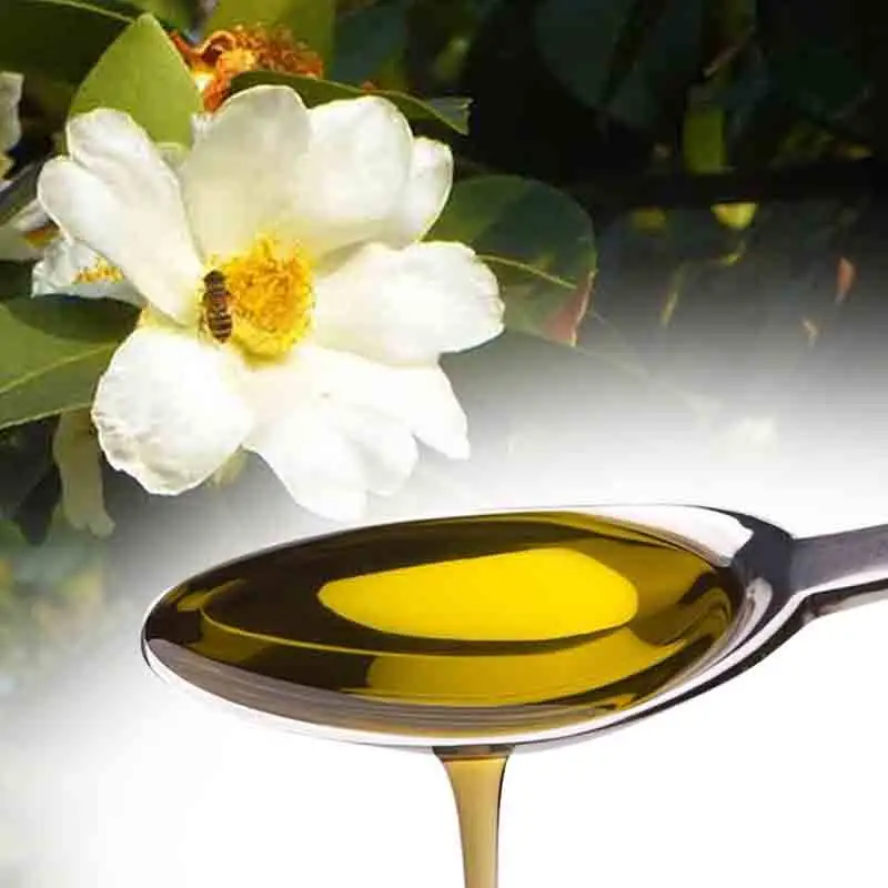 Масло камелии Japonica Tsubaki, органическое масло для семян камелии, чайное масло для волос