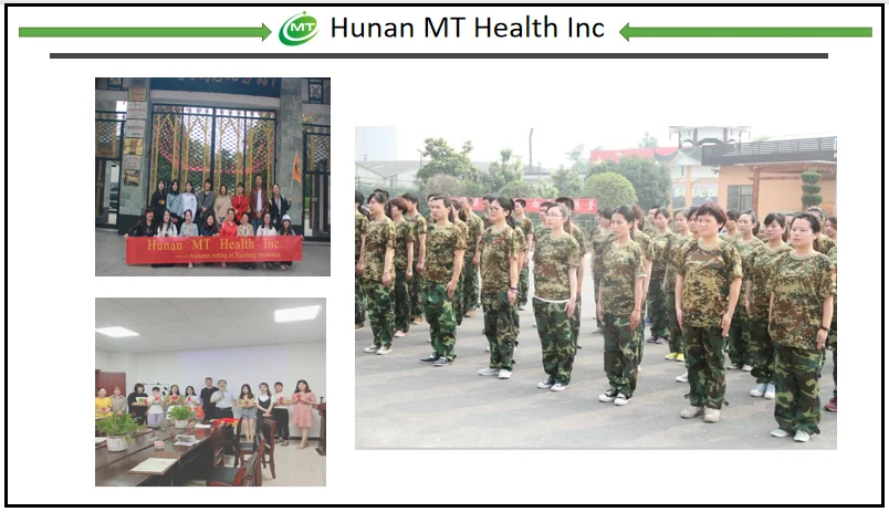 Company culture MT Helath.png