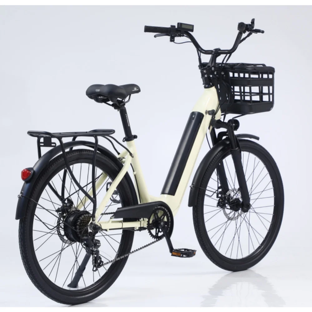 Ebike дешевый складной электрический велосипед 350 Вт 20 дюймов электровелосипед 36 В 13Ah Электрический