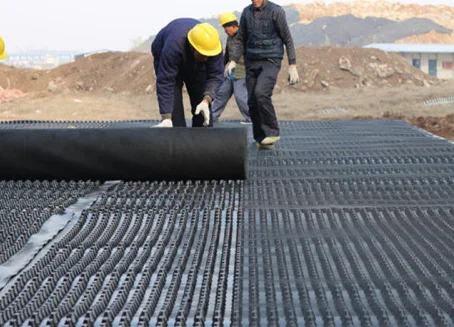 The diameter of the cup mouth of the new water rolling plate is 6 centimeters Material HDPP