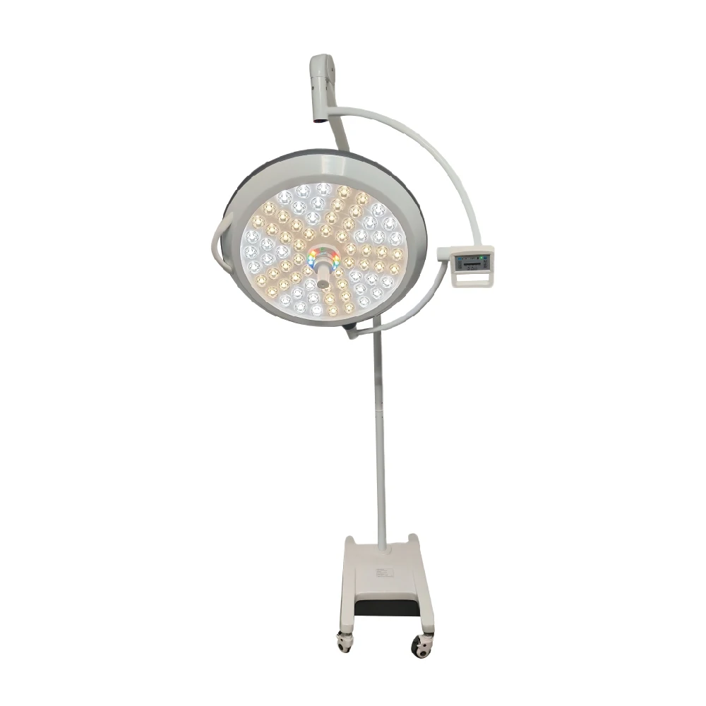 China Medical Equipment Supplier Double Dome Ceiling Mounted Surgical lamp Led endoscopy Surgery Lamp Operating Light
