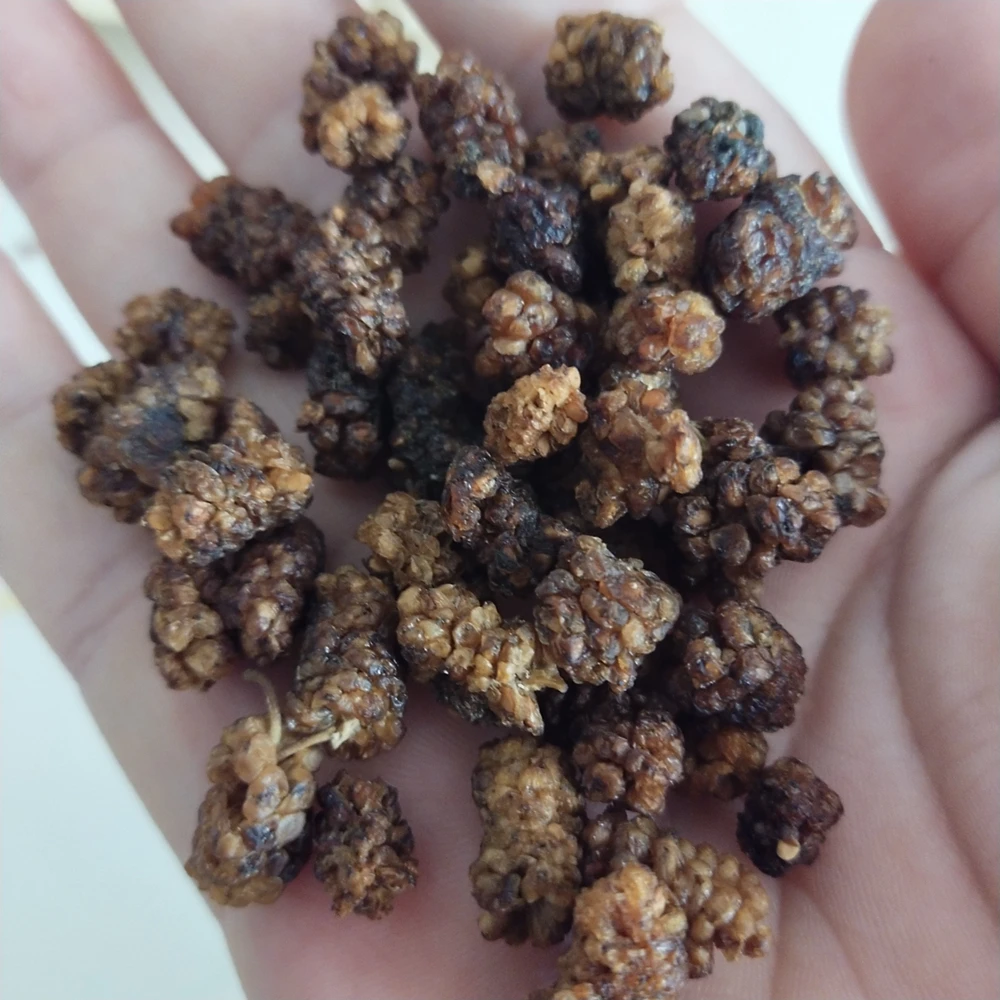 
400 seeds NON-GMO white mulberry seeds for planting 