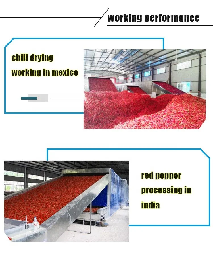 Conveyor hot air Silkroom Cocoon Dryer Machine  dryer food for mesh belt dryer