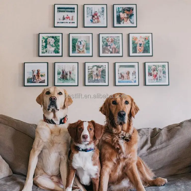 Damage Free Picture Frame Restickable Adhesive Tape