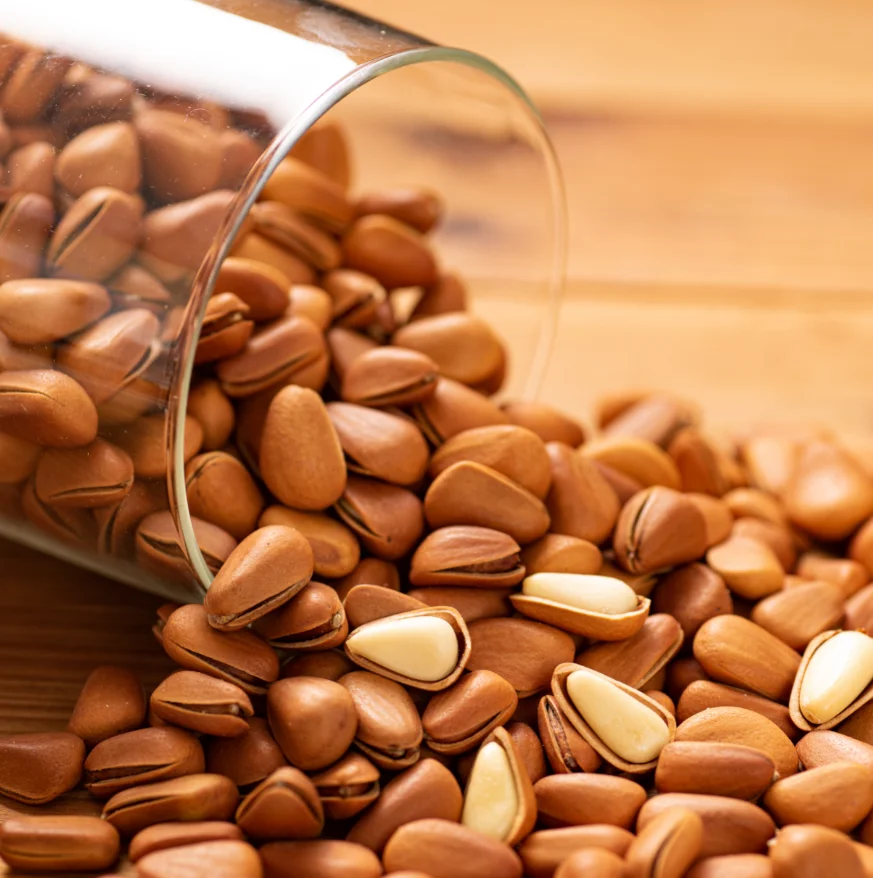 
Pure Natural Rich Healthy Nutrition Green Food Organic Edible Pine Nuts For Sale 