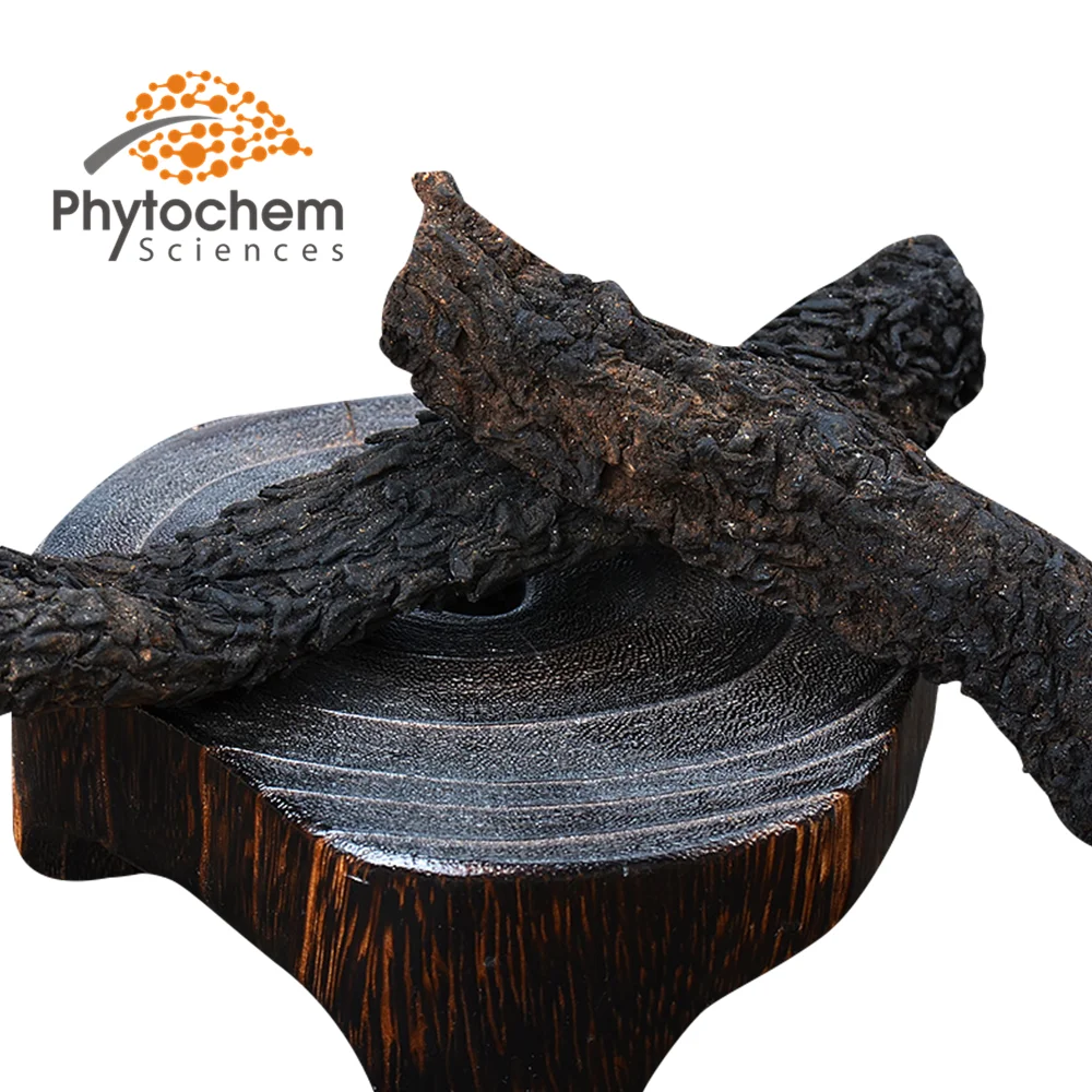 Pure Natural Echinacoside Verbascoside Cistanche Cistanche Tubulosa Extract Tubulosa Extract cistanche extract