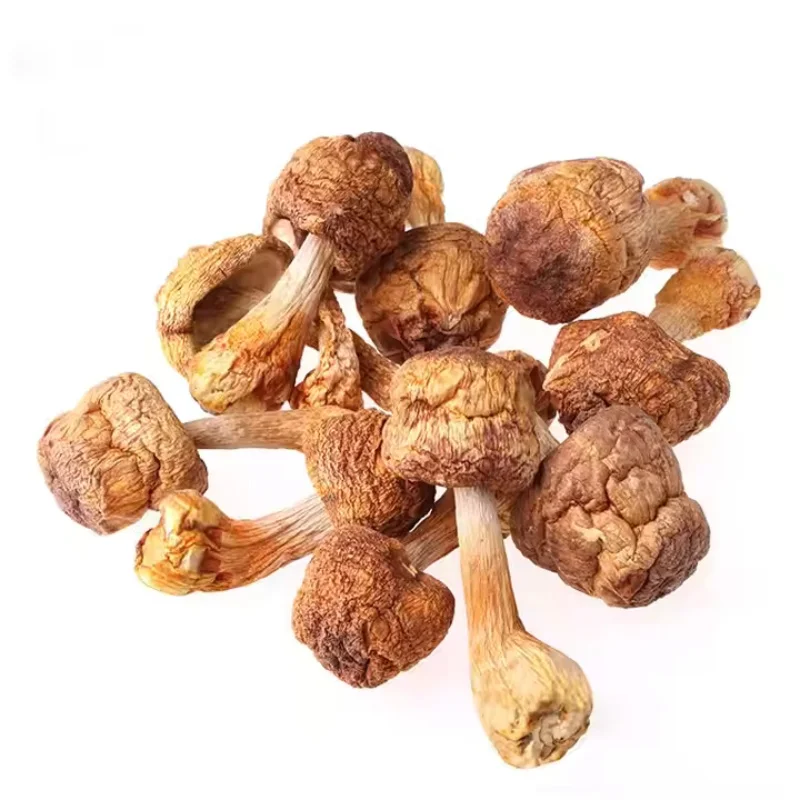 Best Price Organic Agaricus Blazei Whole Truffle Mushrooms Agaricus Blazei Murill Mushroom