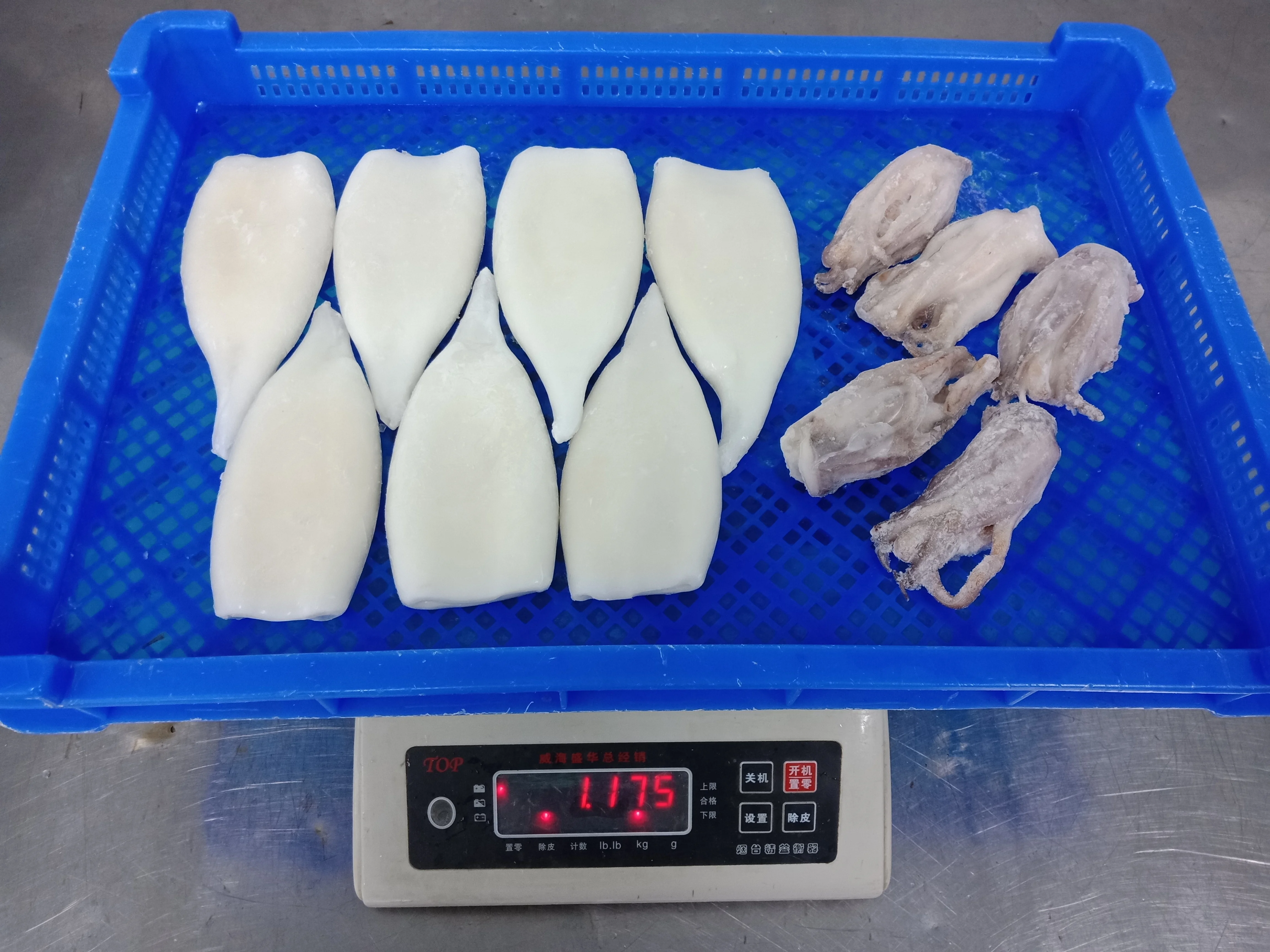 frozen seafood mix Gigas giant squid tentacle cut China Yantai seafood