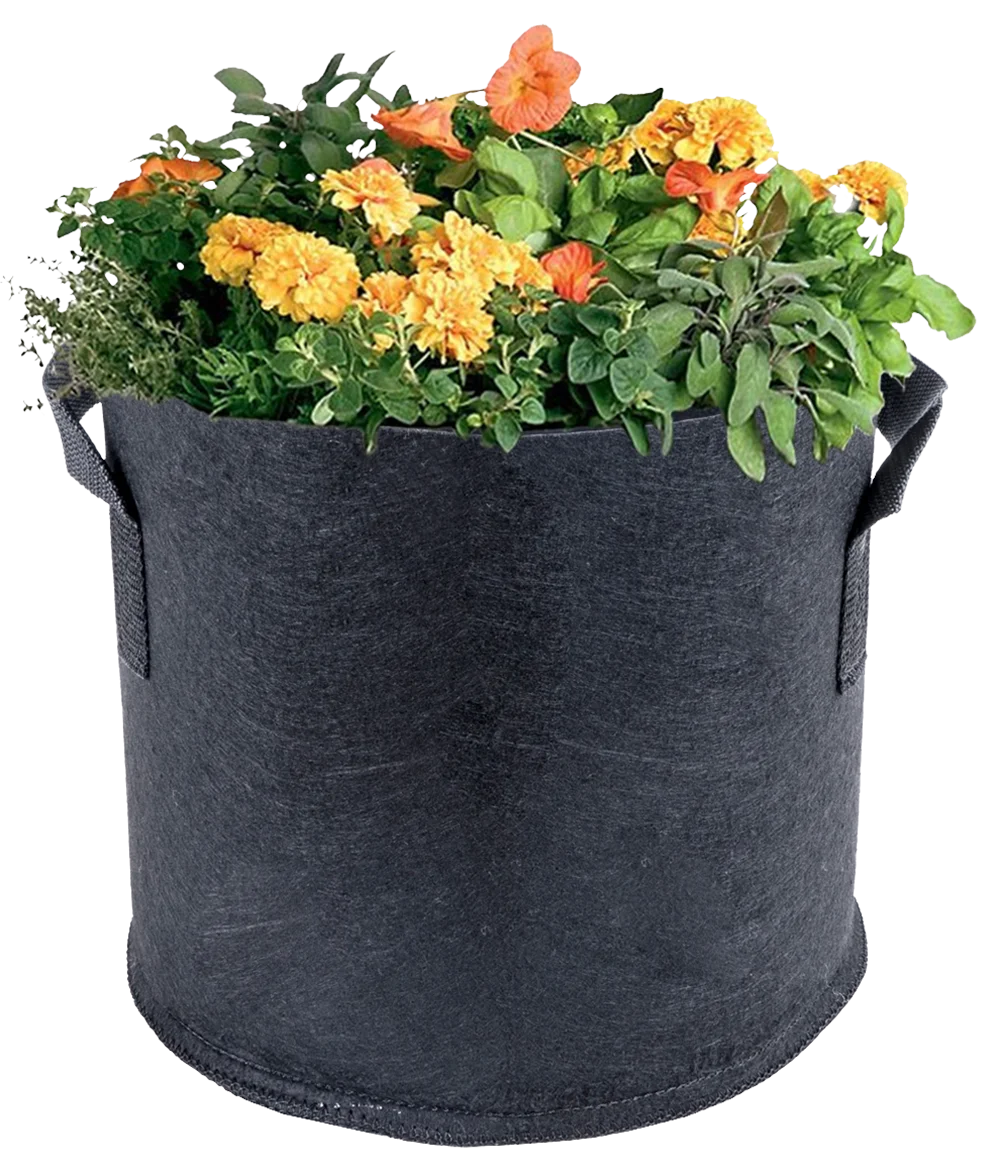 seeding strawberry fabric planting garden felt planter grow bags with handle