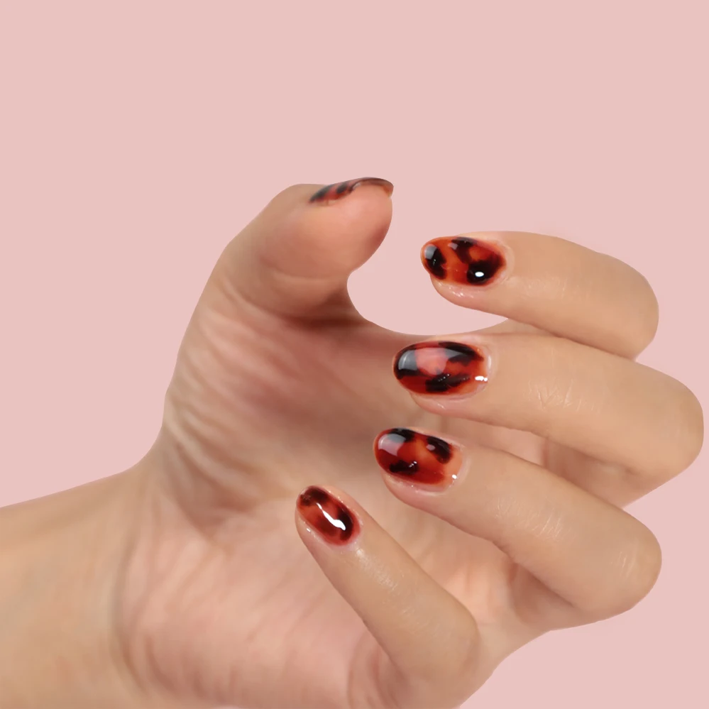 FZANEST 6 colors Amber gel polish set professional nails translucent gel polish