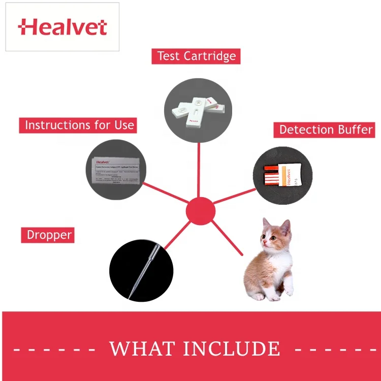 Veterinary Diagnostic Kit Rapid Test CPV Ag Parvovirus Antigen Qualitative Detection For Canine