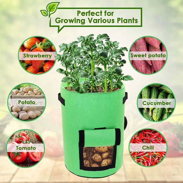 
10Gallons Growing Bags NonWoven Plant Grow Bags,roll up Window Garden Planting Bag with Durable Handle Potato,Tomato Planter Bag 