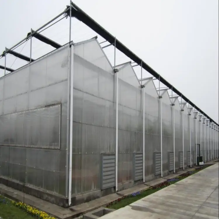 Intelligent Control  Hydroponic  Greenhouse Multi-Span Polycarbonate / PC Sheet Greenhouses With Overall System