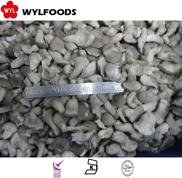 IQF Frozen Baby Oyster Mushrooms Premium Quality Edible Fungi for Culinary Use