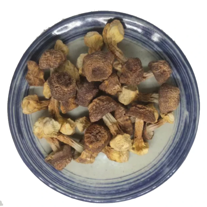 Factory Price Natural Organic Best Quality Dried Whole Agaricus Blazei Agaricus bisporus