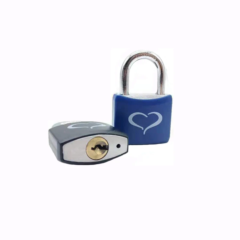 Free Sample Cheap and Popular Security Lock And Key Special Design Padlock World Brand Aluminum Padlocks