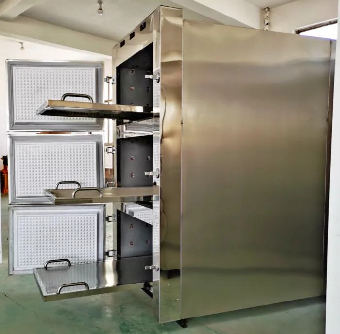 3 Corpses Mortuary Freezer Refrigerator