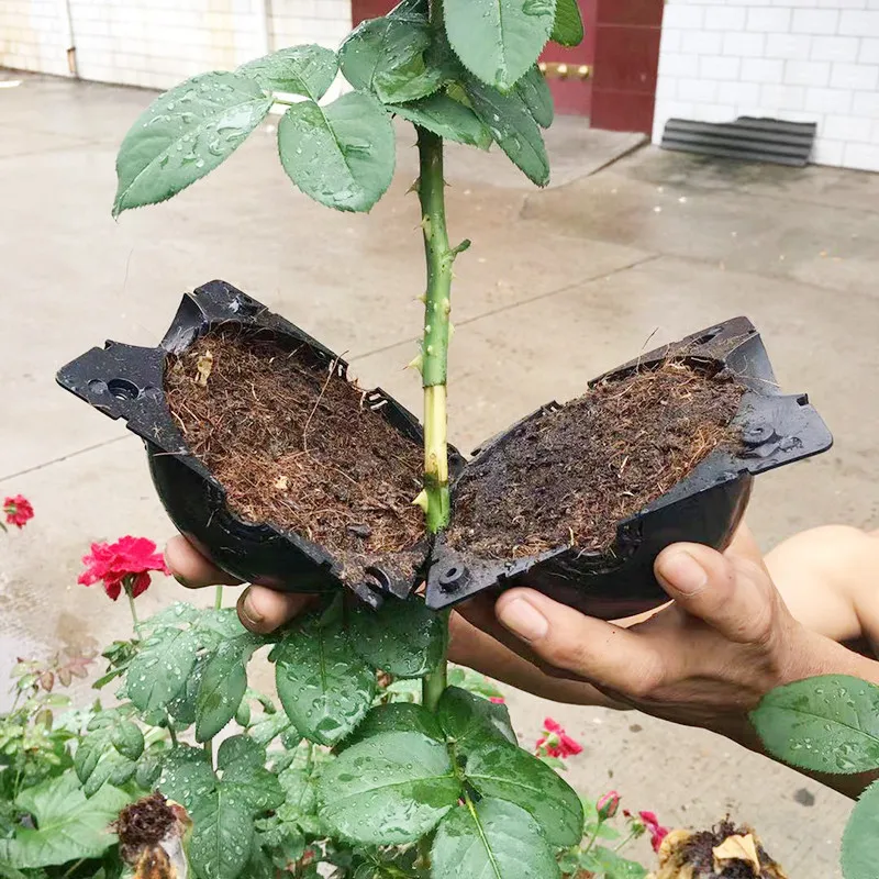  Plant Rooting Ball Propagation Box Cloner Grafting Breeding Seeding Container Nursery Garden Seeds Root