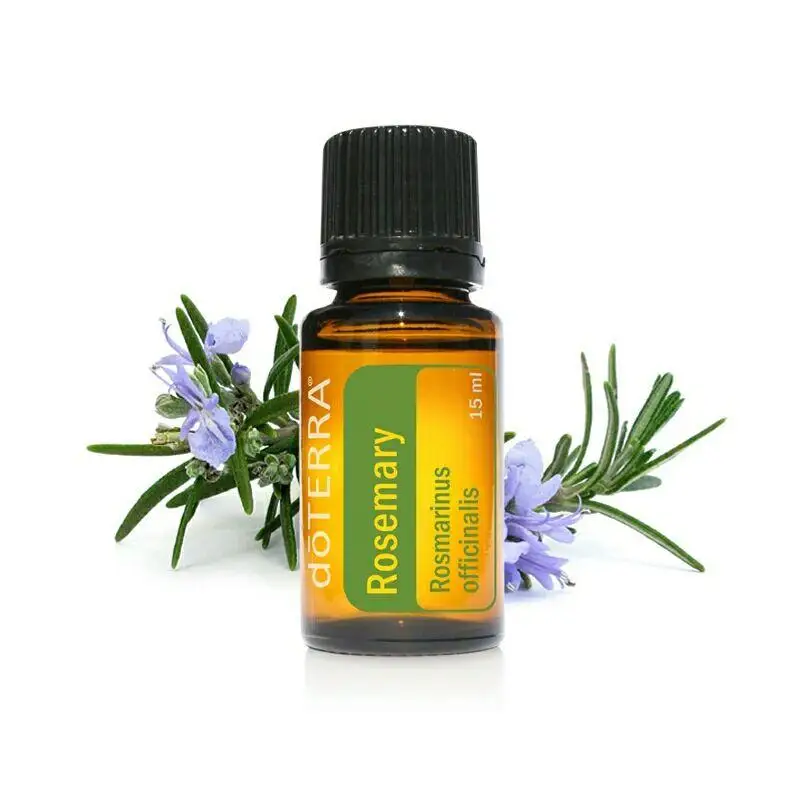 Ethanol Extractor Hexane Butane Solvent Extraction Machine Essential Oil Extraction Equipment