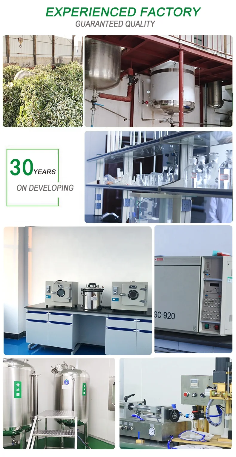 Rice Bran Oil, Cold Pressed Rice Bran Oil on Sale Cosmetic Liquid Pure Essential Oil Yellow Top Grade ODM Service,moisturizer