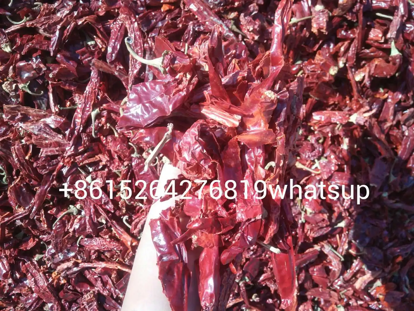 Spain Hungrain Style Paprika Paprika Pods Red Pepper Pods and Red Repper Rowder 8615264276819whatsup