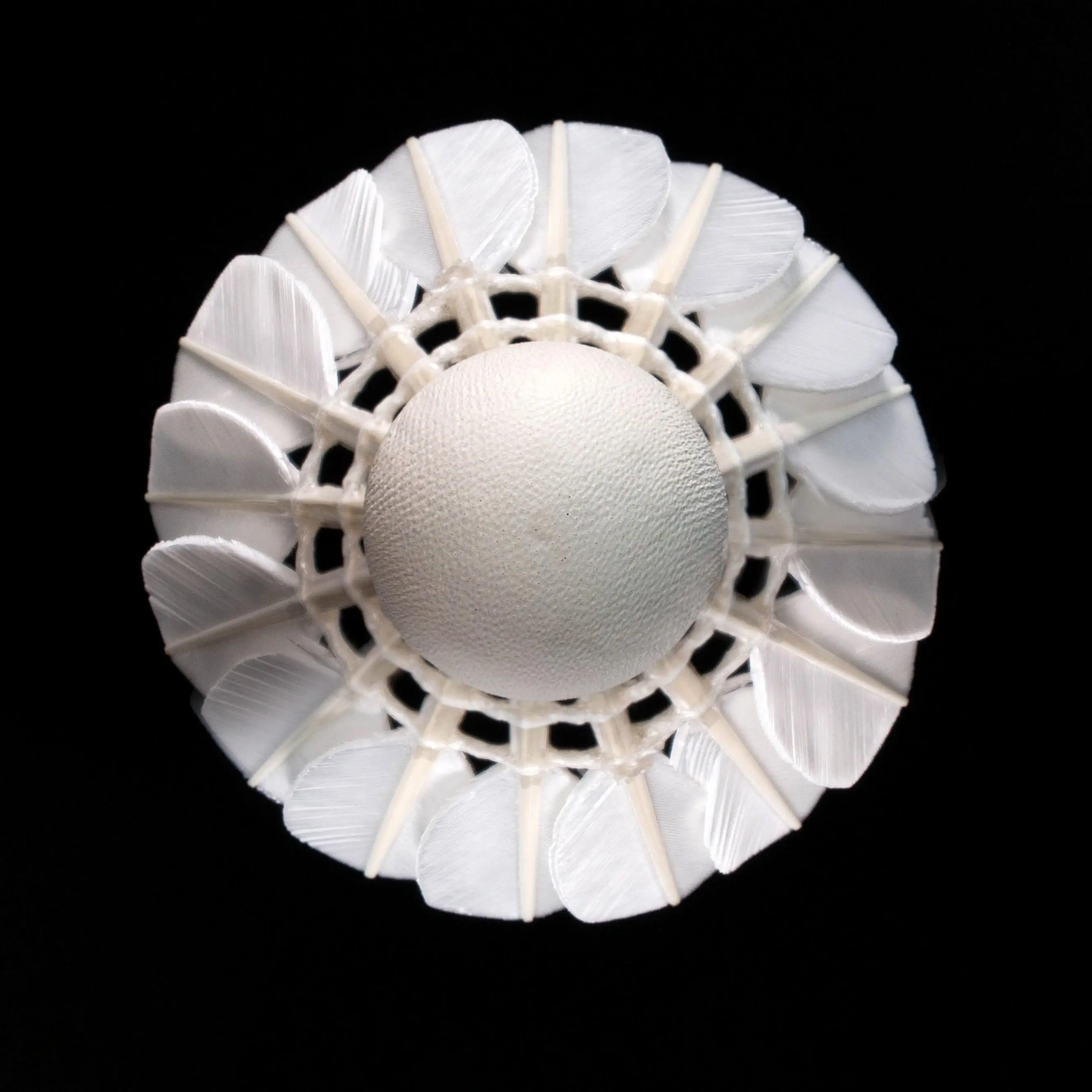 LINGMEI-80 BWF Custom  LING MEI 80 Goose Feather Badminton Shuttlecock Birdies Shuttles Shuttle EG1130 for Tournament Training