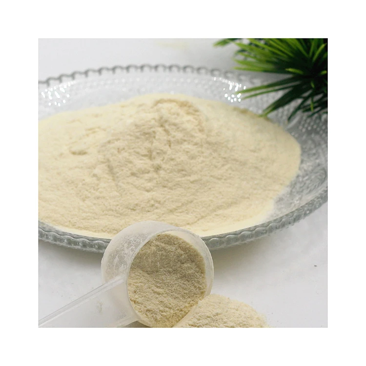 High Quality Whey Protein Private Label Whey Protein Powder For Gym Enthusiast Bodybuilders