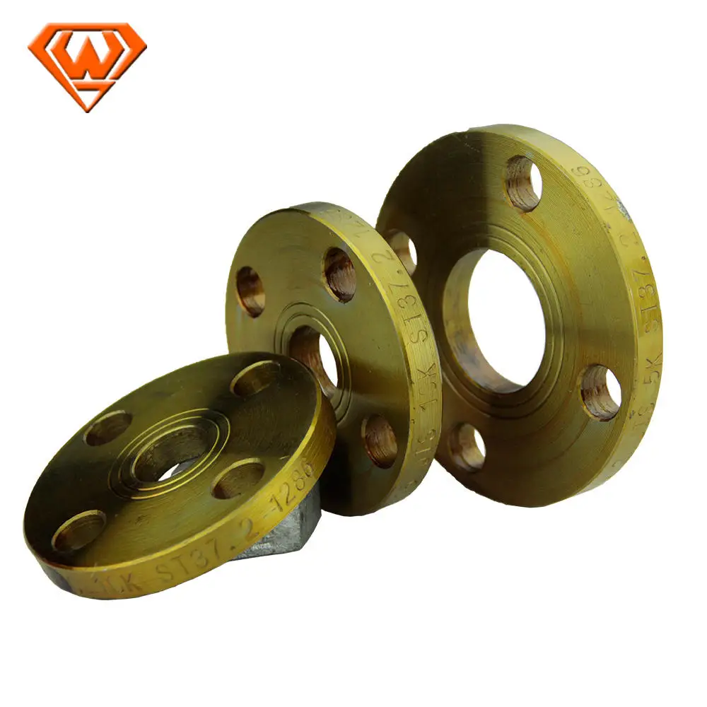 sockolet & weldolet connection Plate flange