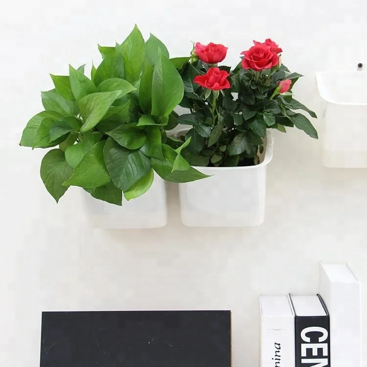 
Flower biodegradable garden vertical wall planter 