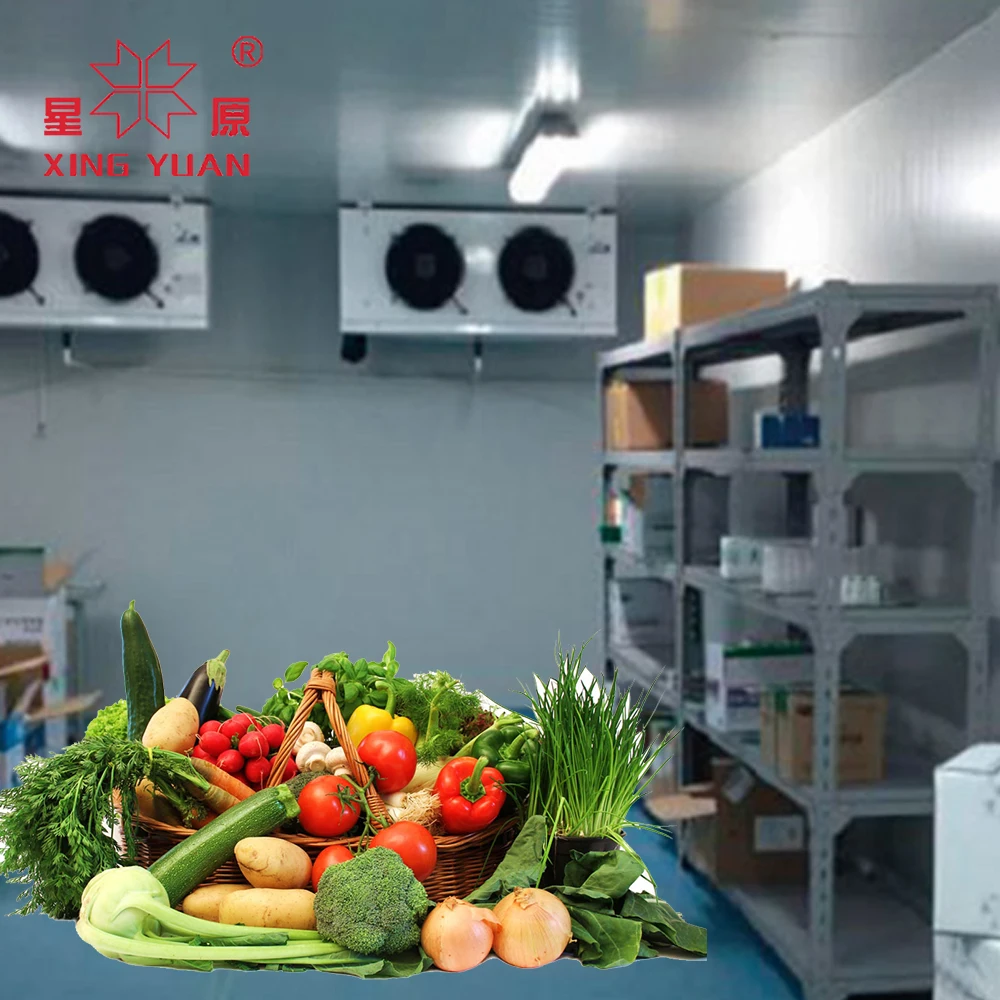 Walk in Cold Room Freezer Chiller Room Cold Storage Warehouse for Logistics
