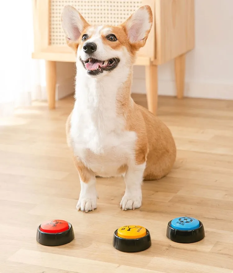 Recordable Answer Buzzers Personalized Sound Buzzer