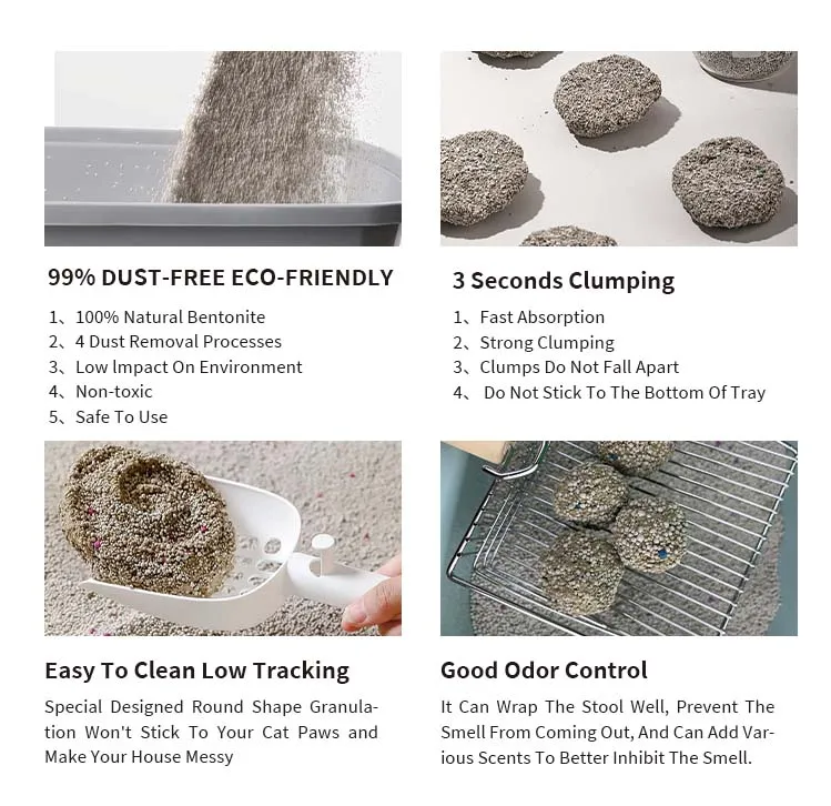 Premium OEM Bentonite Cat Litter Easy Clean Sodium with Strong Clumping Dust-Free Cat Sand Supplier