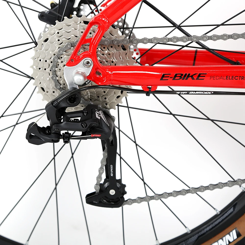 New Design TWITTER Ebike E300 Alu Alloy Electric Bikes eMTB 36V 48V 350W Hub Motor Electric Mountain Bike with Removable Battery