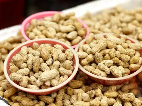 Chinese peanuts manufacturers in shell prices